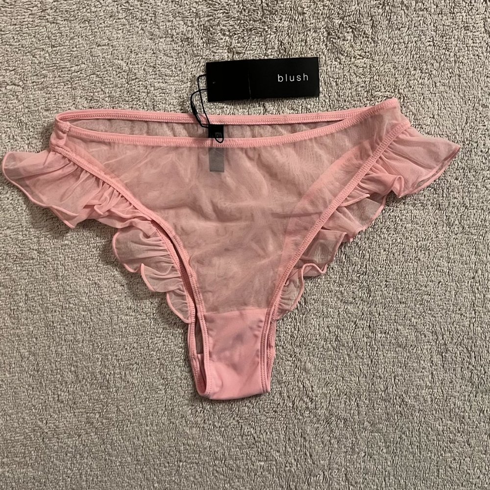 *RARE* Blush Lingerie - 'Flutter' High Leg Sheer Mesh Bikini - Picture 3 of 6